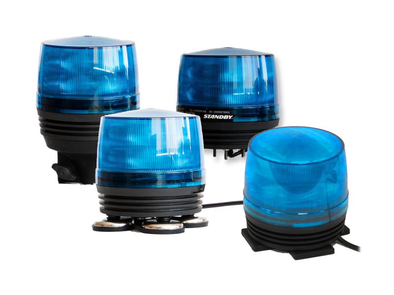 Blue Rhodon Group Unlit