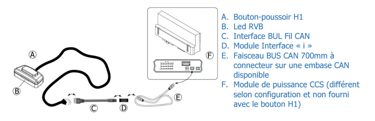 Schema - composition bouton H1