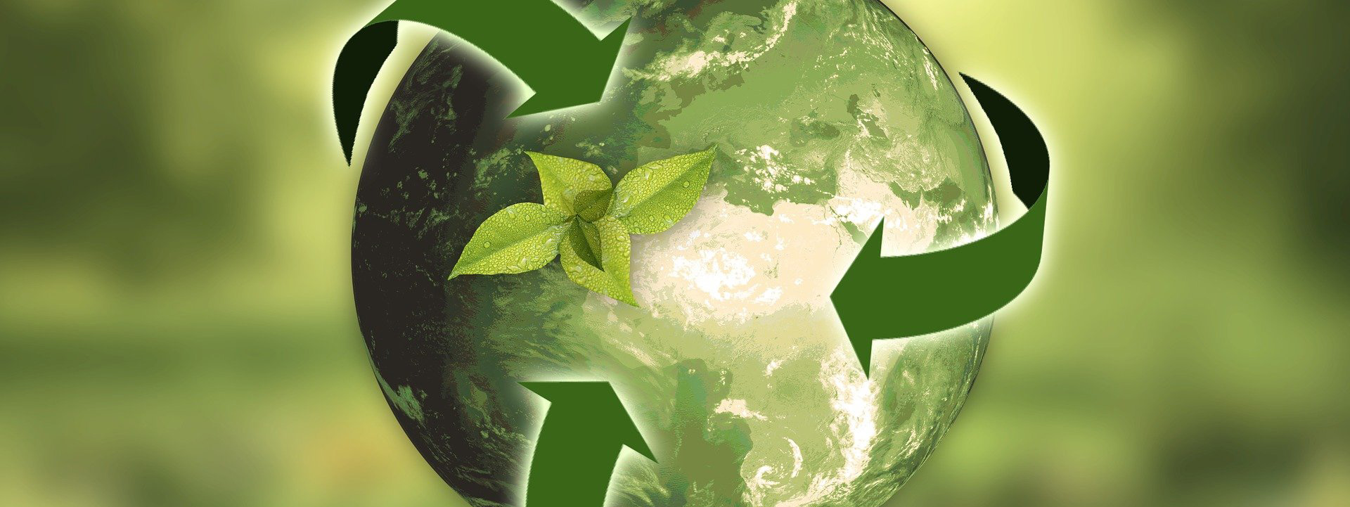 Recyclage - Standby France