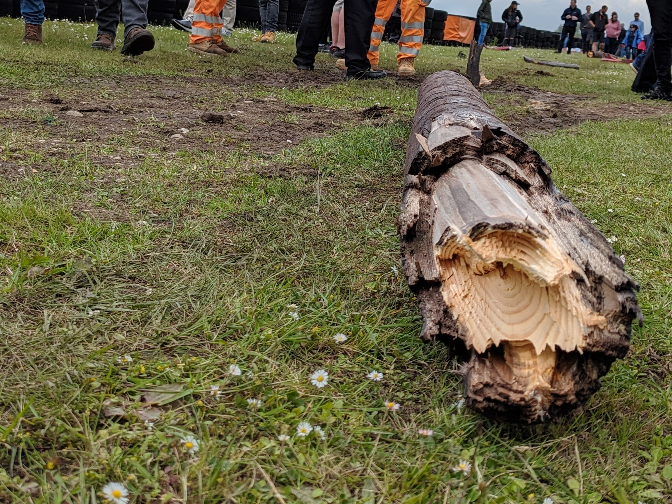 Damaged wooden pole lying flat on the grass, people's legs seen in the top of the image